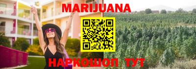 молекула духа Кингисепп